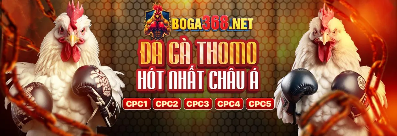 Đá Gà Trực Tuyến 5699bet